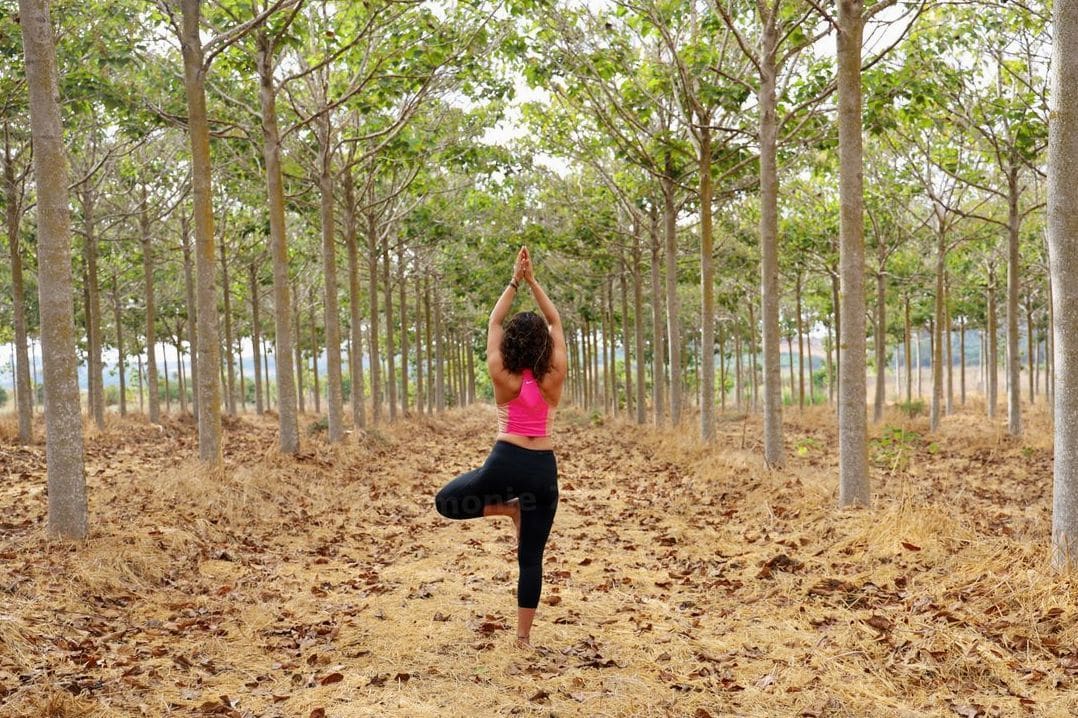 Vinyasa Flow
